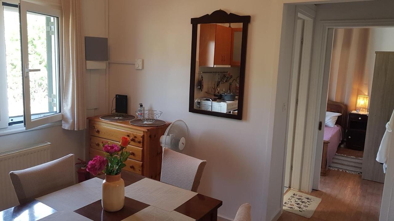 Olga'S Cozy Nest , Apartment In Ano Korakiana. 객실 사진