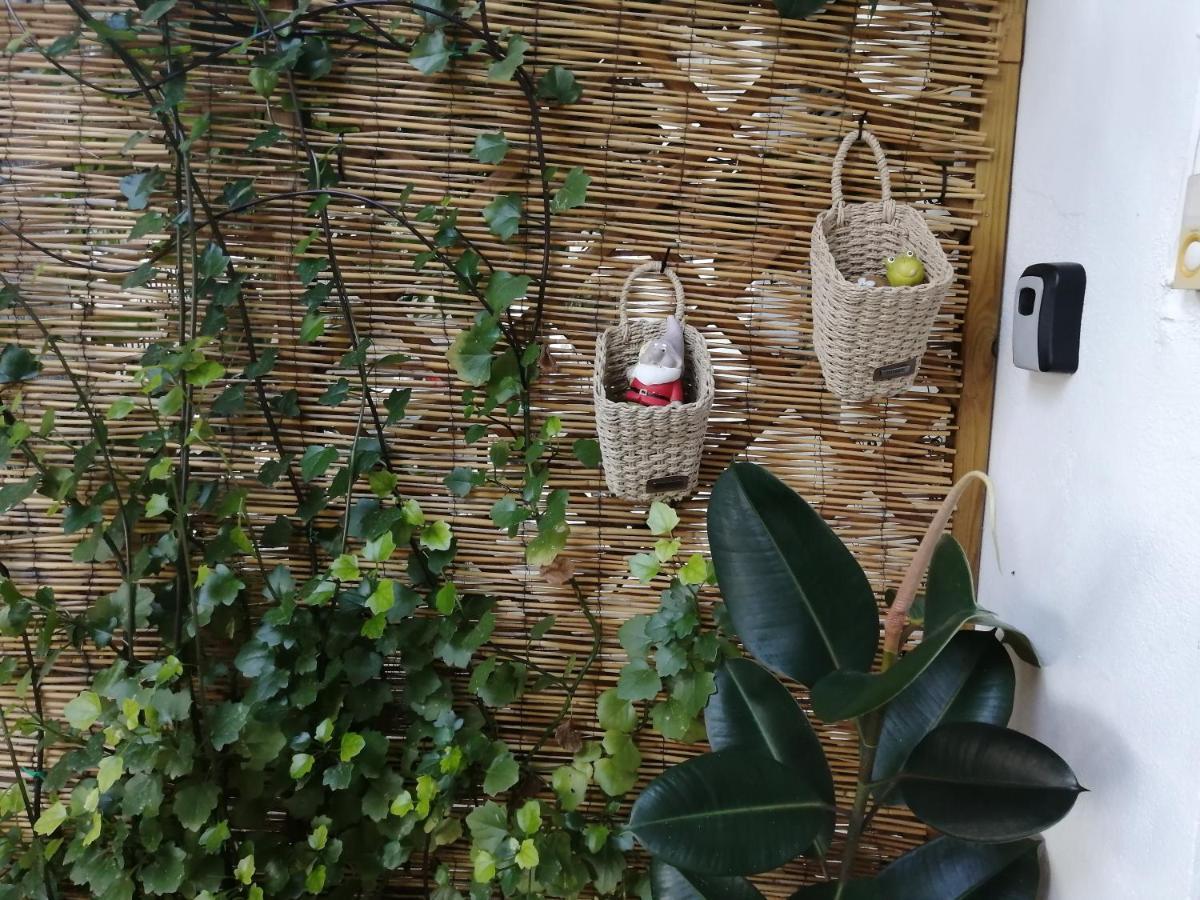 Olga'S Cozy Nest , Apartment In Ano Korakiana. 외부 사진