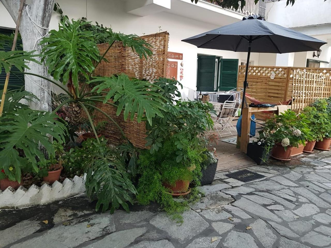 Olga'S Cozy Nest , Apartment In Ano Korakiana. 외부 사진