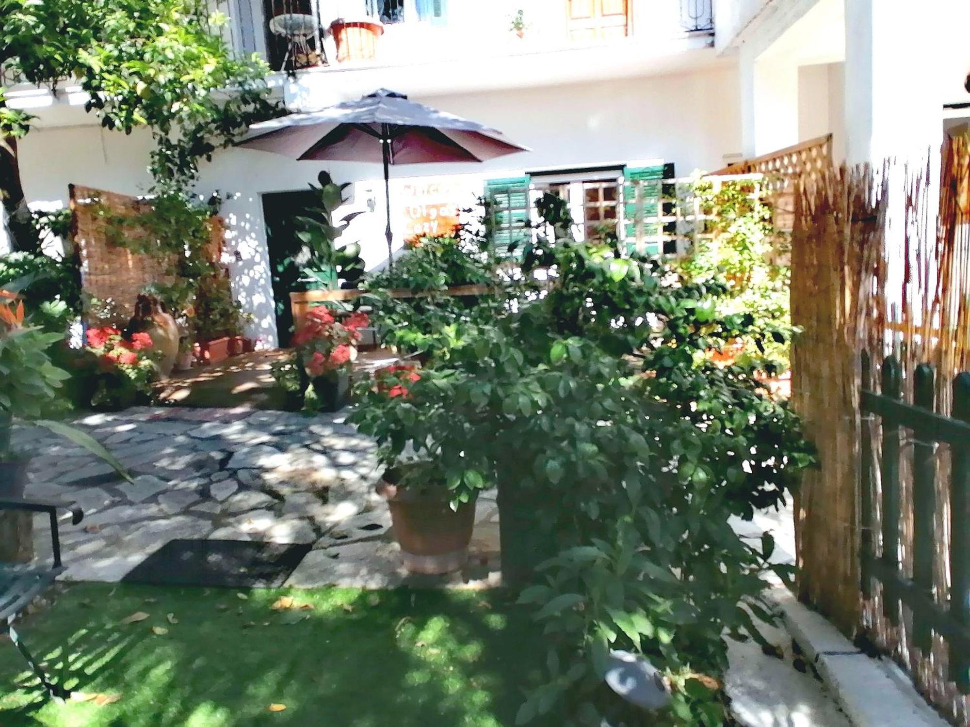 Olga'S Cozy Nest , Apartment In Ano Korakiana. 외부 사진