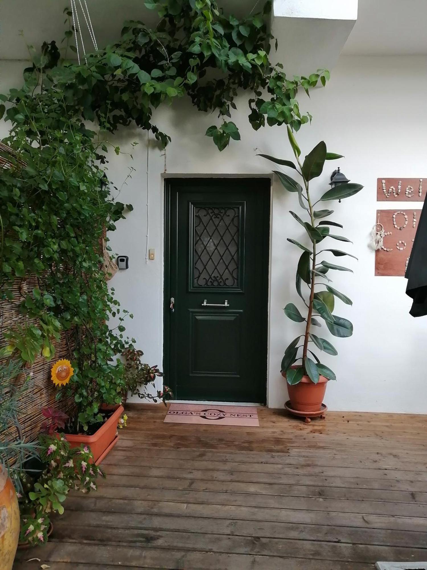 Olga'S Cozy Nest , Apartment In Ano Korakiana. 외부 사진